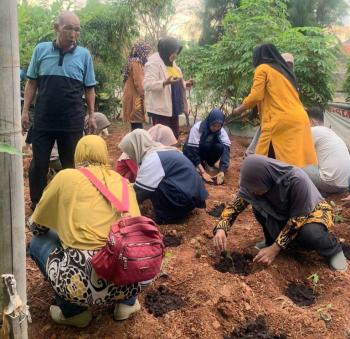 Mahasiswa KKN Unikal Tanam Ratusan Sayuran